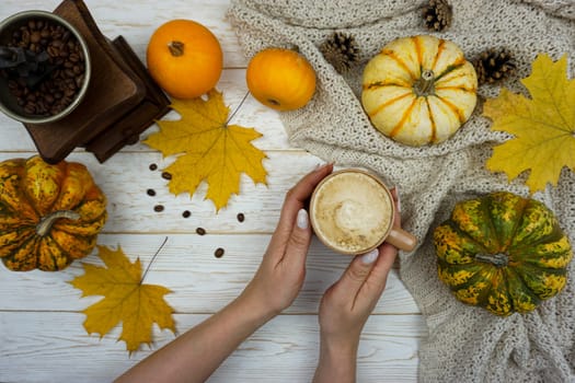 A variety of pumpkins, autumn yellow leaves and a mechanical coffee grinder are lying on a wooden table. A mug of hot coffee is in women's hands. Pumpkin latte. Pumpkin coffee.