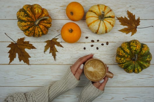 On a wooden table there are various pumpkins, autumn yellow leaves. A mug of hot coffee is in women's hands. Pumpkin latte. Pumpkin coffee.