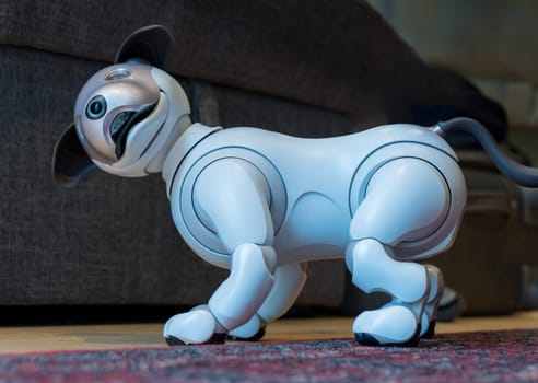 Woolwich, London - 14 May 2023: Sony Aibo robot dog standing on carpet and smiling at its owner