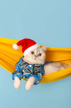 funny white cat in a blue shirt and a red Santa Claus hat, lying in a yellow fabric hammock, isolated on a blue background. Vertical. Close up. Copy space