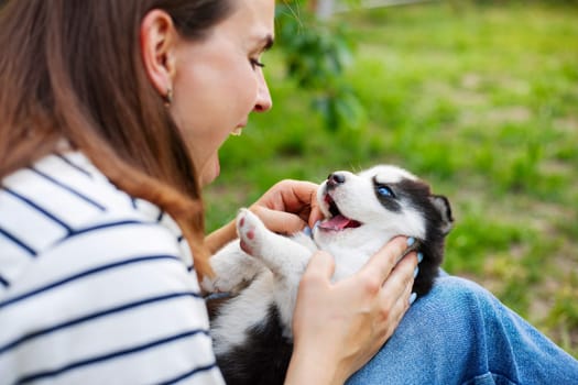 Beautiful woman in a striped t-shirt happily plays with a small husky puppy in the park outdoors.