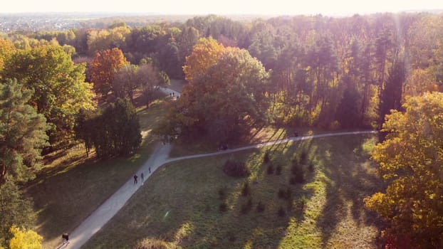 Flying over trees with yellow and green leaves in park with dirt paths and people walking on sunny autumn day. Forest wood nature sunlight sunshine. Aerial drone view. Red sun glare.