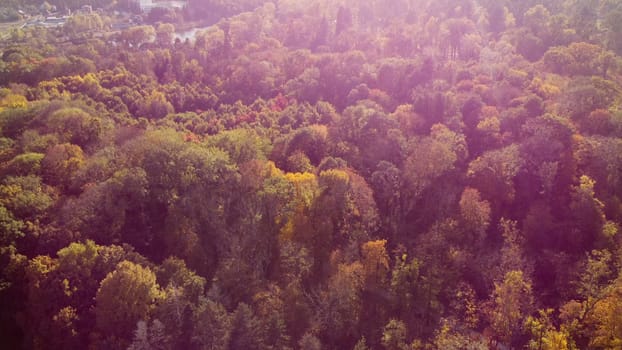 Beautiful landscape view of treetops with yellow leaves on bright sunny day. Flying over park trees. Aerial drone view. Top view. Beautiful natural background. Nature fall autumn season. Red sun glare