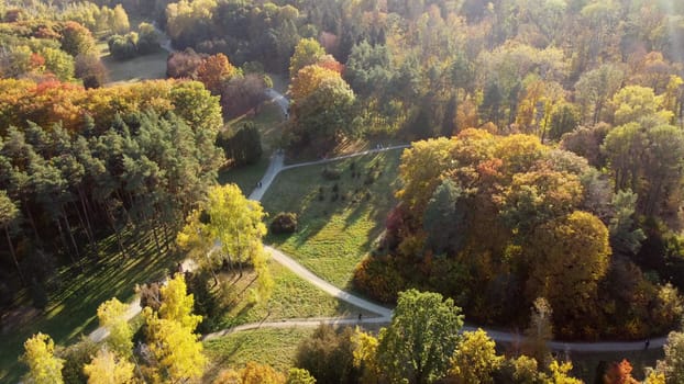 Flying over trees with yellow and green leaves in park with dirt paths and people walking on sunny autumn day. Top view. Forest wood woodland nature natural sunlight sunshine. Aerial drone view.