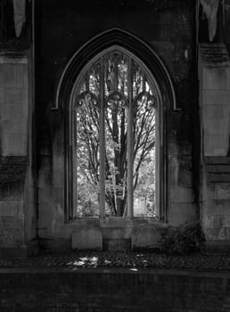 Black and White treatment of the carved stone windows of St Dunstan church in City of London covered with foliage