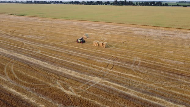 Cleaning straw stacks in field after harvest. Tractor gathering stacks of straw after harvesting wheat on summer evening. Aerial drone view. Field of mowed spike of cereals. Field harvest, harvesting