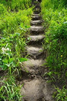 A ladder made of earth is made up among the green grass. High quality photo