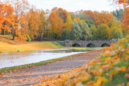 Autumn park landscape . Golden autumn in the city park. Photos on the calendar. Season. September, October, November