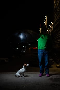 Woman sheltering jack russell terrier dog under umbrella from rain