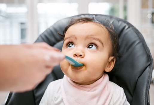 Adorable, sweet and cute baby eating puree for lunch, dinner or snack in her high chair at home. Child development, food and girl infant kid enjoying meal with spoon for growth and wellness in house