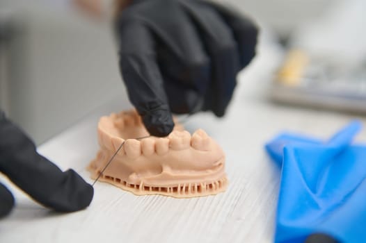 Selective focus on hands of dentist in black sterile gloves, using dental floss, shows how to clean and brush teeth on a plaster cast of teeth. Gypsum model of human teeth and jaw. Prosthetic model