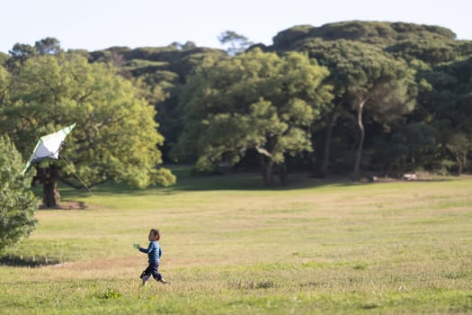 A little boy flying a kite on the field. Mid shot