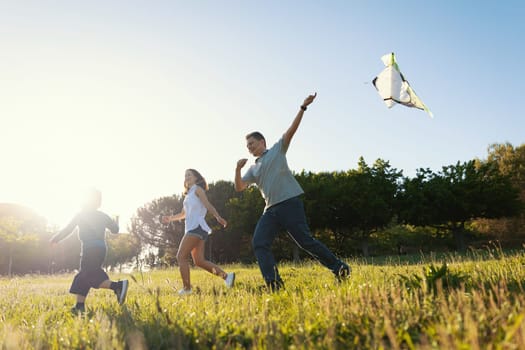 Cute happy family flying a kite on the field. Mid shot