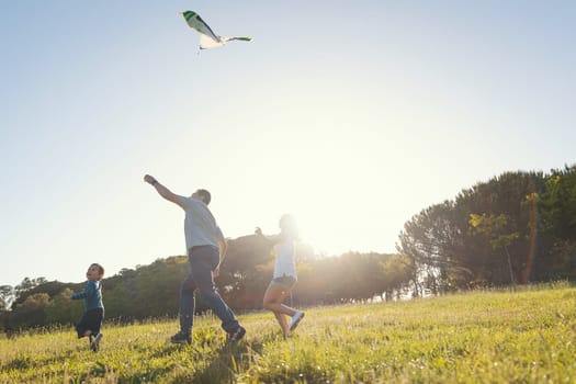 Happy family flying a kite on the field. Mid shot