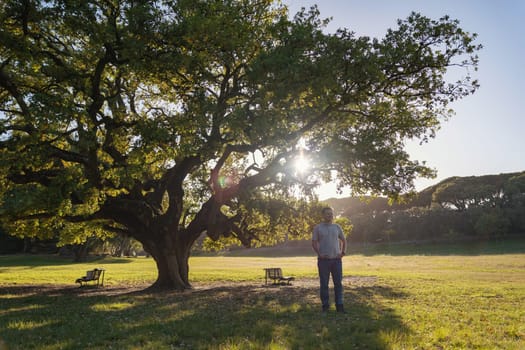 Smiling white man standing under big tree in day lighting. Mid shot