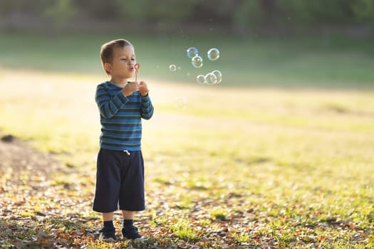 Cute little white boy blowing soap bubbles. Mid shot
