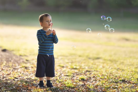 Cute little white boy blowing soap bubbles in the park. Mid shot