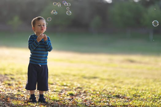 Cute little white boy blowing soap bubbles in the sunny park. Mid shot