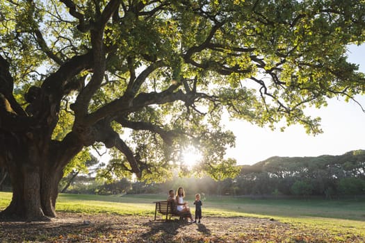 Cute family spending time in the park - parents sitting on a bench under big tree and their little son playing with soap bubbles. Mid shot