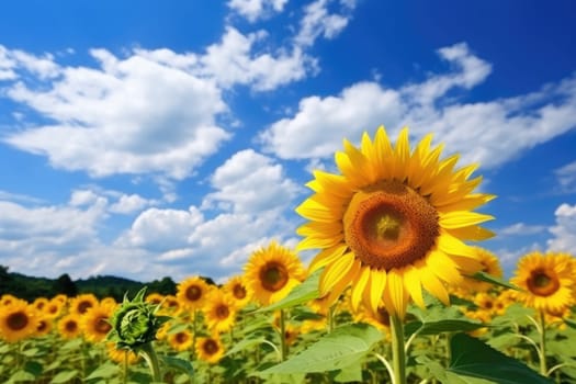 Beautiful field of blooming sunflowers against blue sky, AI Generative