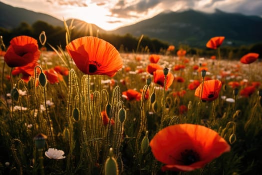 Beautiful field of red poppies in the sunset light. AI Generative