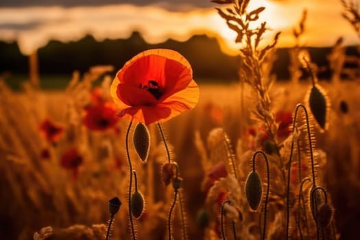 Beautiful field of red poppies in the sunset light. AI Generative