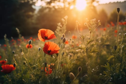 Beautiful field of red poppies in the sunset light. AI Generative