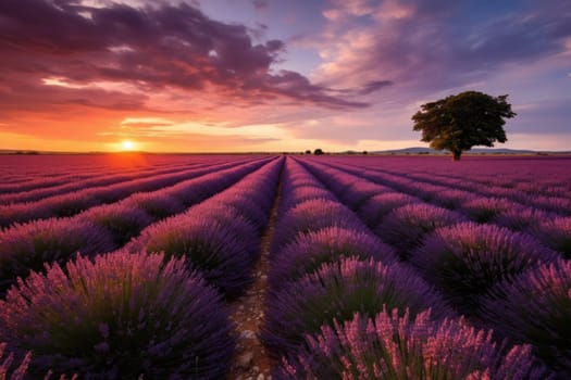 Sunset over a violet lavender field, AI Generative