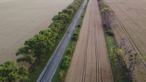 Highway road, driving cars and trees between the areas sown and ripened mature wheat. Agricultural farming agrarian landscape. Harvest crop scenery. Travel transport. Aerial drone view. Top view.
