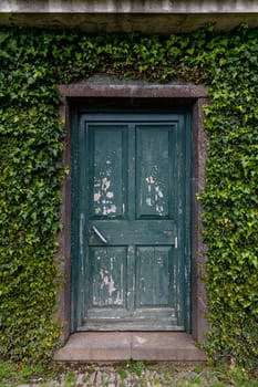 A vertical shot of a vintage green door adorned with ivy vines, situated in a brick wall