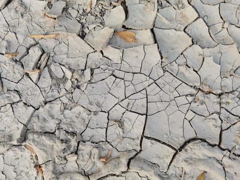 Dry cracked earth as a background close-up. Environmental disaster. Drought