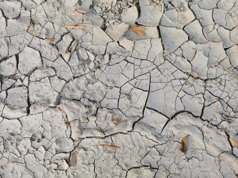Drought, earth cracks, natural disasters. Dry cracked earth as a background close-up. Environmental disaster. Drought