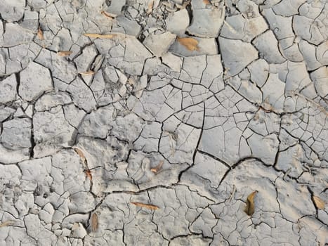 Dry cracked earth as a background close-up. Environmental disaster. Drought