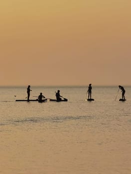 Group of people on stand up paddle board at quiet sea on sunset or sunrise. People on sup board and bright sunset.