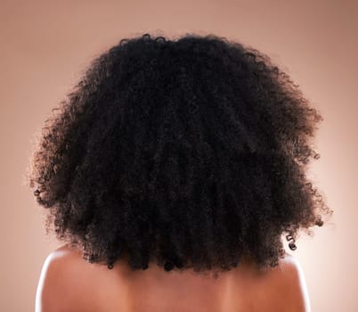 Natural hair, black woman with afro and beauty, haircare and cosmetics with back on studio background. Female, cosmetic treatment with curly hairstyle, rear view and texture with hygiene and grooming.