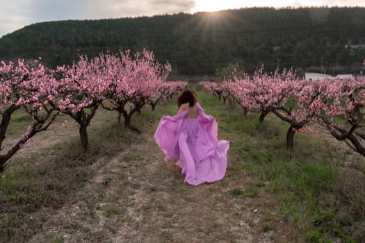 woman blooming peach orchard. A woman in a long pink dress walks in the park, in a peach orchard. Large blooming peach orchard.