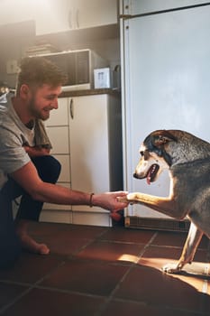 Pleased to meet you mister. a cheerful young man shaking his adorable dogs paw inside of the kitchen during the day