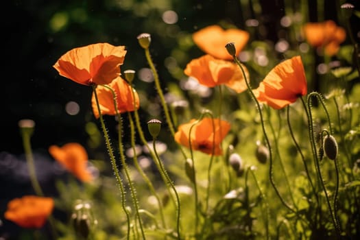 Beautiful field of red poppies in day light. AI Generative