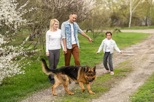 Family with small child and dog outdoors in orchard in spring