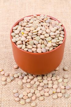 Brown Lentils in cup on sack background.