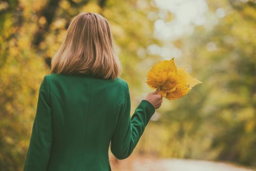 Woman holding fall   leaves  and enjoy in autumn while standing in the park.