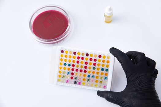 Concept of Pharmaceutical Research of Antibiotics, Curing Disease Fighting Epidemics