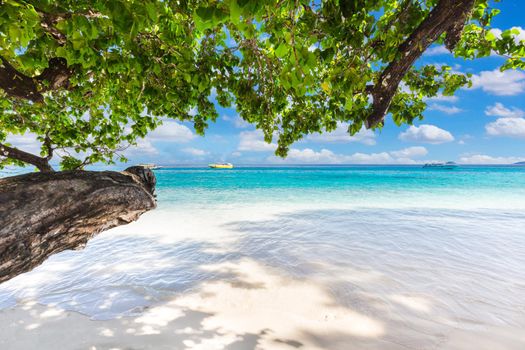 Beauty,Tropical beach, Similan Islands, Andaman Sea, National Park, Phangnga Province, Thailand