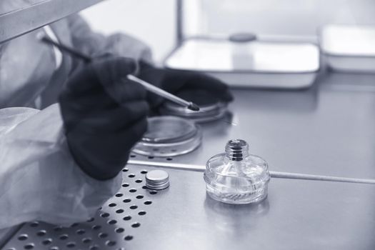 Researcher working with petri dish with bacteria in the bacteriological laboratory. Concept of Pharmaceutical Development for Antibiotics, Curing Disease