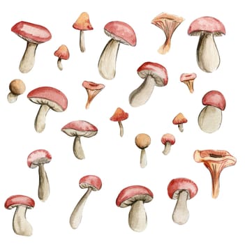 Autumn set mushrooms. Hand drawn illustration of autumn. Perfect for scrapbooking, kids design, wedding invitation, posters, greetings cards, party decoration.