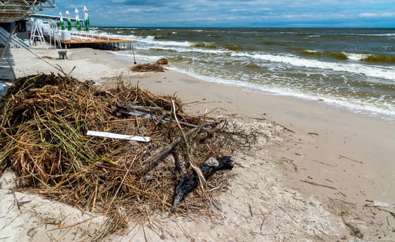 ODESSA, UKRAINE - JUNE 12, 2023: pollution of beaches with garbage and plant remains after the accident at the Kakhovka Hydroelectric Power Plant