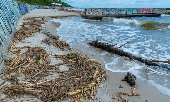 The consequences of a dam break at the Kakhovka power plant, the sea threw garbage and tree trunks onto the beaches of Odessa