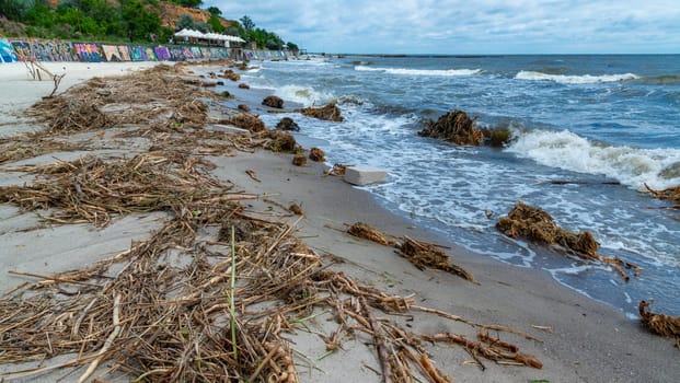 Accident at the Kakhovskaya hydroelectric power station, pollution of beaches with plastic debris and the remains of river plants brought by water