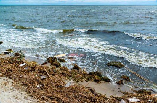 Consequences of the Accident at the Kakhovka power plant, pollution of the beaches of Odessa with garbage and plant remains brought by water