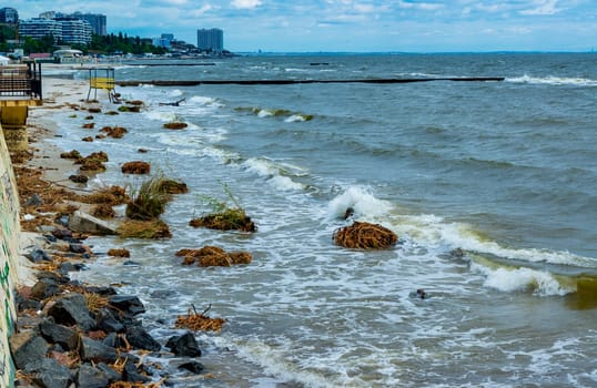 Consequences of the Accident at the Kakhovka power plant, pollution of the beaches of Odessa with garbage and plant remains brought by water